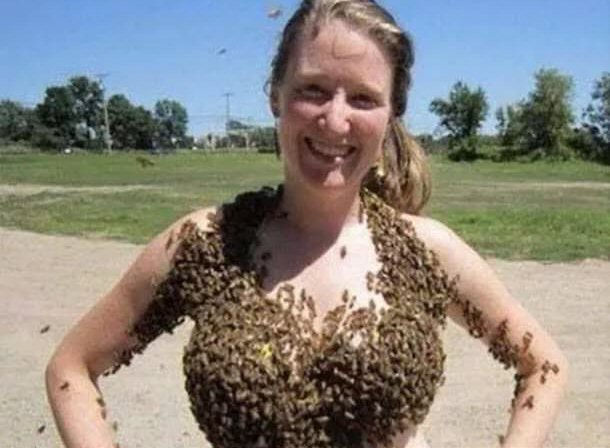 boob bees.jpg